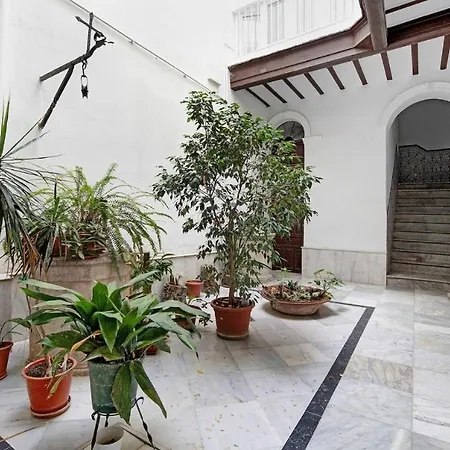 Apartment Precioso En Junto Al Mercado *